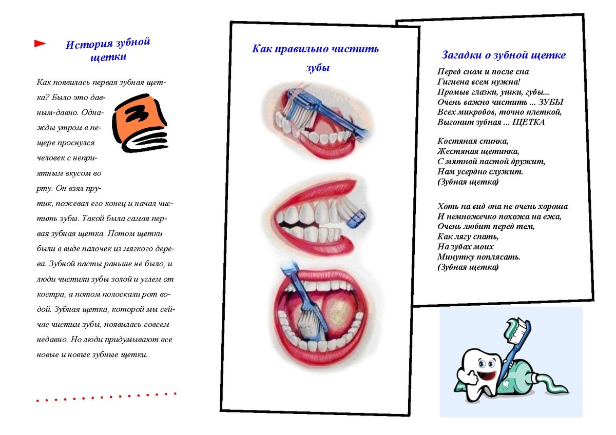 Загадка про зубную щетку для детей