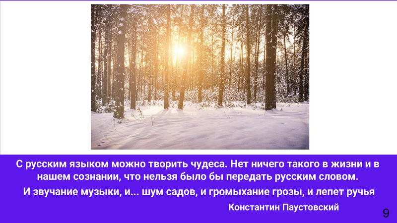 Файл:МКИлюшкина ОА 26.pdf
