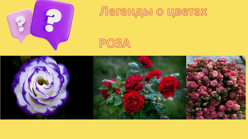 Файл:Легенды о цветах.pdf