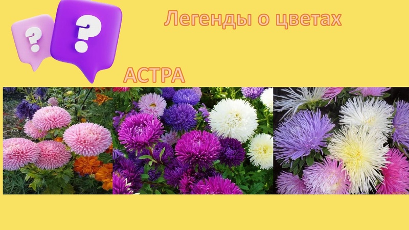 Файл:Легенды о цветах.pdf