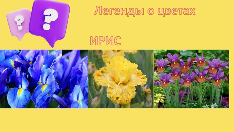 Файл:Легенды о цветах.pdf